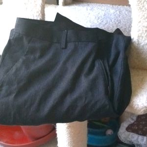 Dress pants